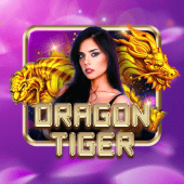 Dragon Tiger lucky calico casino
